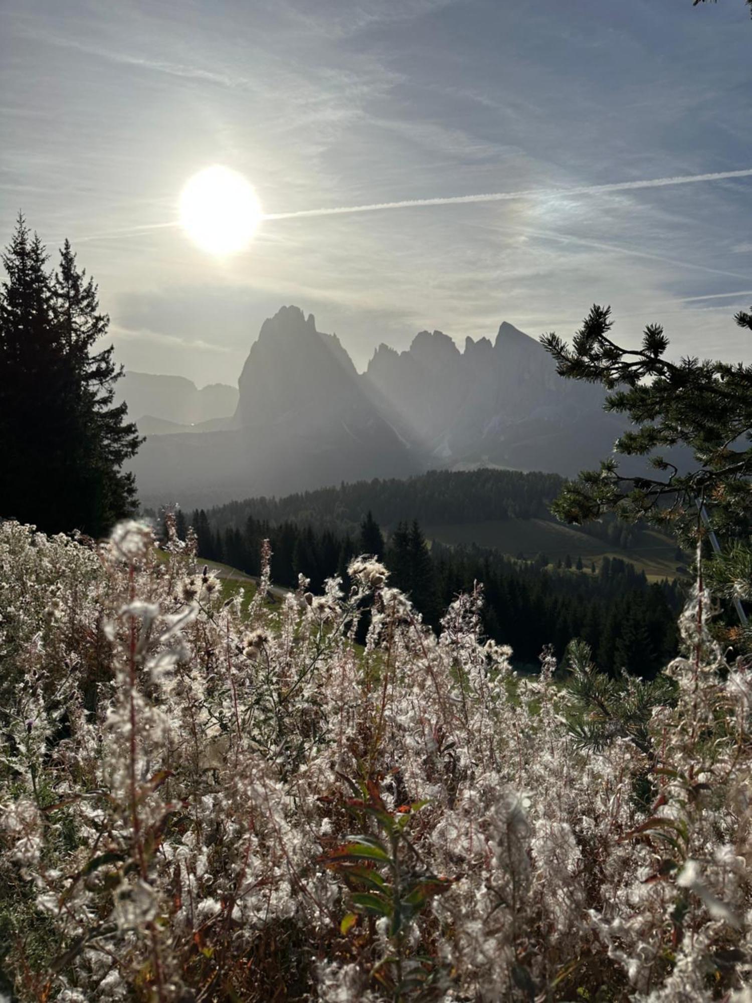 Garni Villa Erna Sëlva di Val Gardena Eksteriør billede