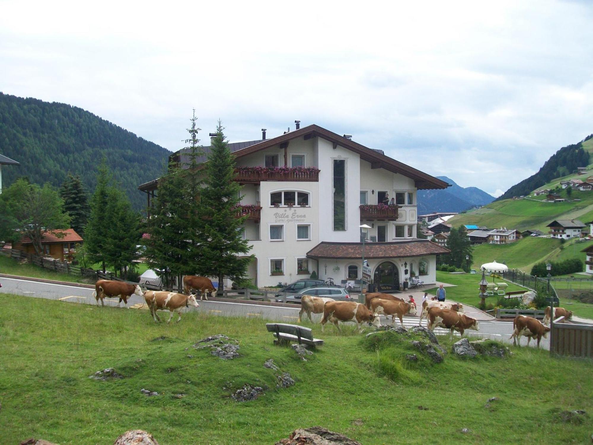 Garni Villa Erna Sëlva di Val Gardena Eksteriør billede